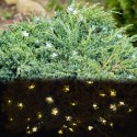 Lampki ogrodowe solarne kwiatki 7m 50LED ciepły biały Lampki ogrodowe solarne kwiatki 7m 50LED ciepły biały
