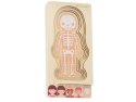 Puzzle drewniane warstwowe budowa ciała montessori dziewczynka Puzzle drewniane warstwowe budowa ciała montessori dziewczynka