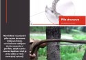 Zestaw przeżycia SURVIVAL niezbędnik przetrwania Zestaw przeżycia SURVIVAL niezbędnik przetrwania